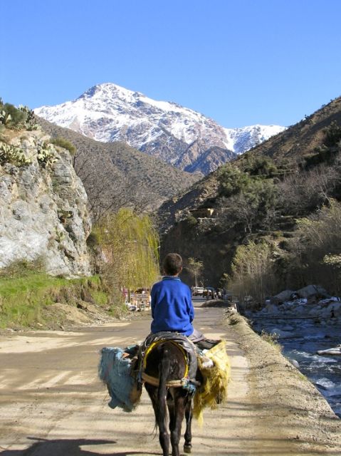 Marrakech: Atlas Mountains and Desert Jeep Safari With Lunch - Lunch With Locals