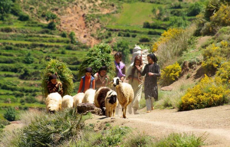 Marrakech Atlas Mountains, Berber Villages & Waterfall Tour - Experience Highlights