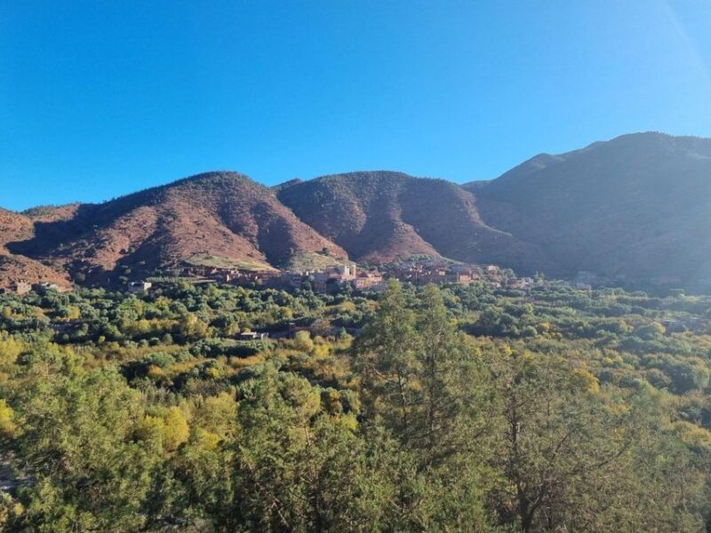 Marrakech: Atlas Mountains, Ourika Valley, Waterfall & Lunch - Key Points