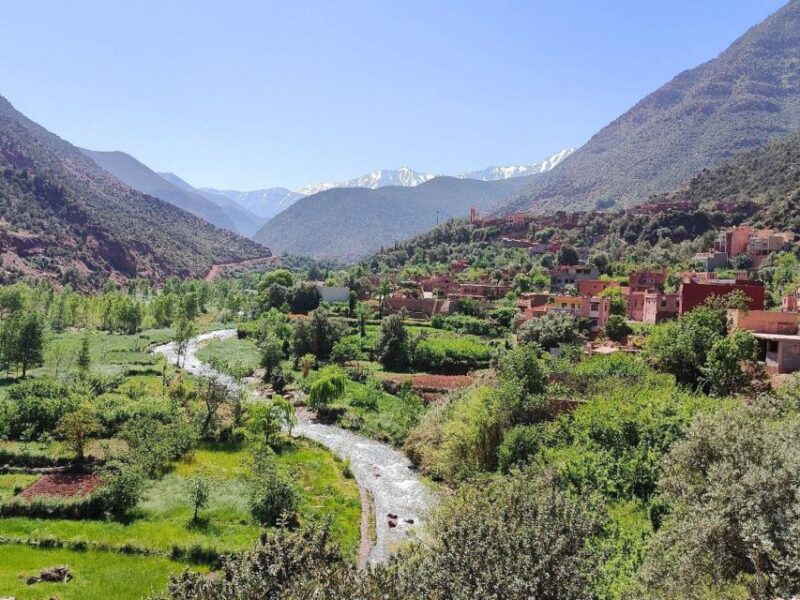 Marrakech: Atlas Mountains, Ourika Valley, Waterfall & Lunch - Highlights and Attractions
