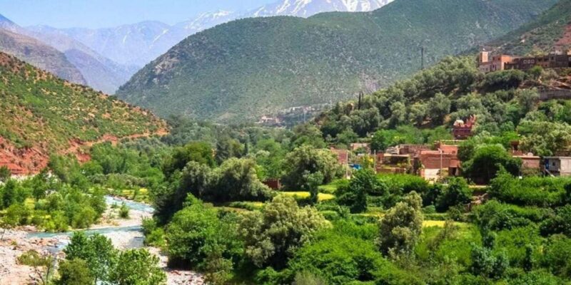 Marrakech: Atlas-Mountains, Ourika Valley, Waterfall & Lunch - Key Points