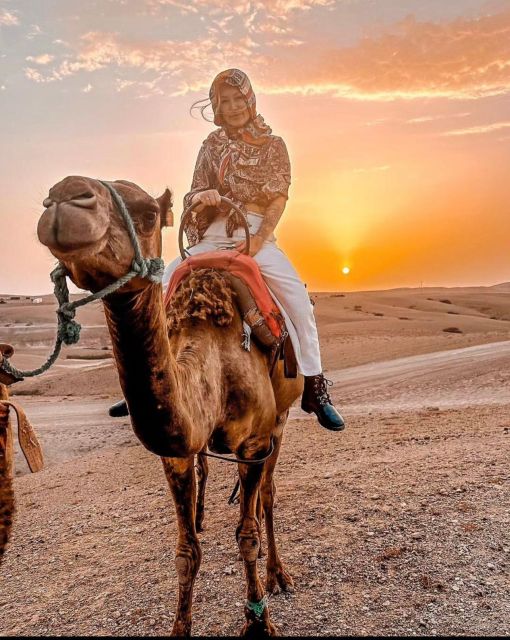 Marrakech: Atlas Mountains Paraglide and Camel Ride Day Trip - Detailed Itinerary