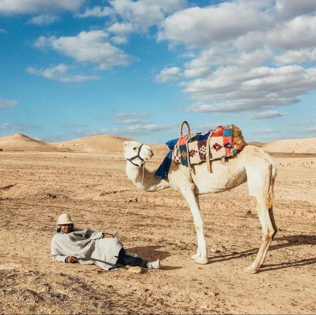 Marrakech: Atlas Mountains Paraglide and Camel Ride Day Trip - Berber Cultural Immersion