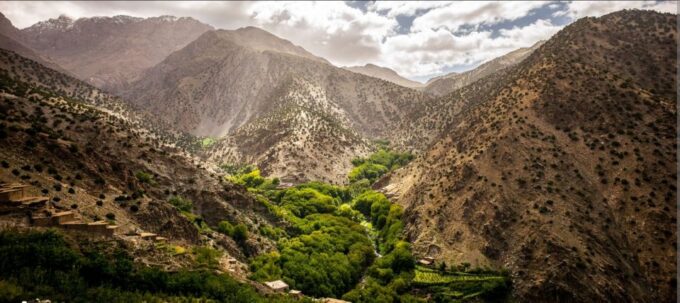 Marrakech: Atlas Mountains Paraglide and Camel Ride Day Trip - Customer Reviews and Ratings