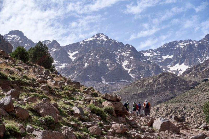 Marrakech: Atlas Mountains Tedli Sadle Day Hike - Key Points