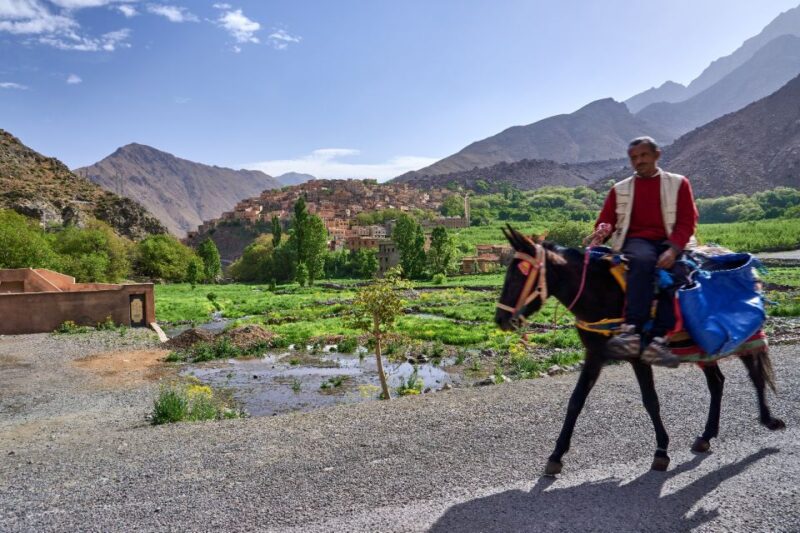 Marrakech: Atlas Mountains Tedli Sadle Day Hike - Included in the Tour