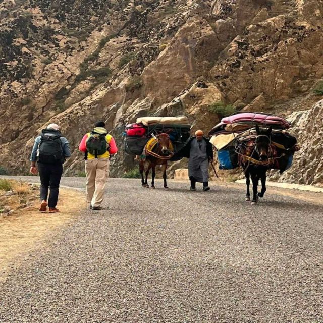 Marrakech: Atlas Mountains Tedli Sadle Day Hike - Booking and Availability