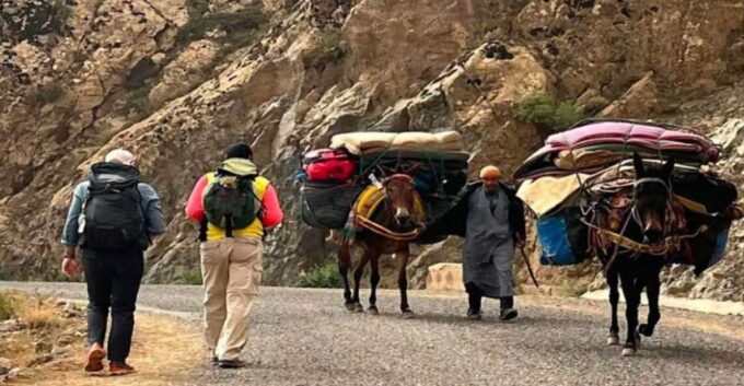 Marrakech: Atlas Mountains Tedli Sadle Day Hike - Frequently Asked Questions