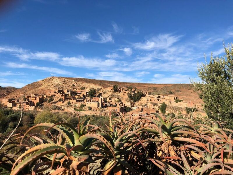 Marrakech: Atlas Mountains Waterfall & Camel Ride Experience - Included Amenities