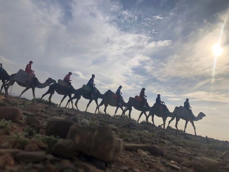 Marrakech: Atlas Mountains Waterfall & Camel Ride Experience - Meeting and Pickup