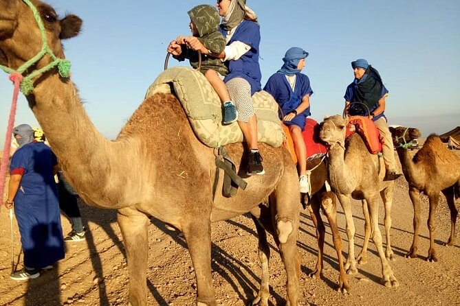 Marrakech Camel Ride - Ratings and Reviews