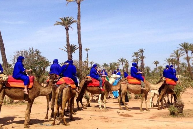 Marrakech Camel Ride at the Palm Groves - Flexible Scheduling and Duration