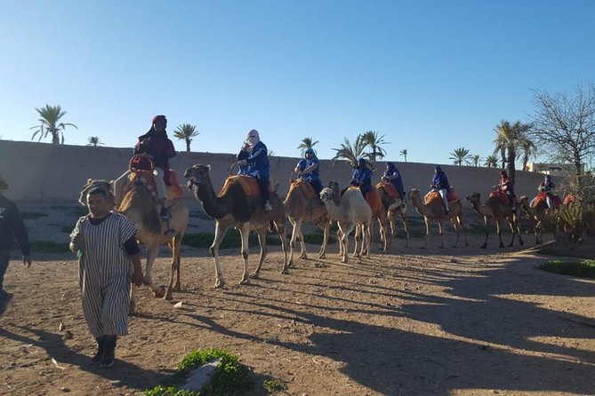 Marrakech Camel Ride at the Palm Groves - Physical Requirements and Accessibility
