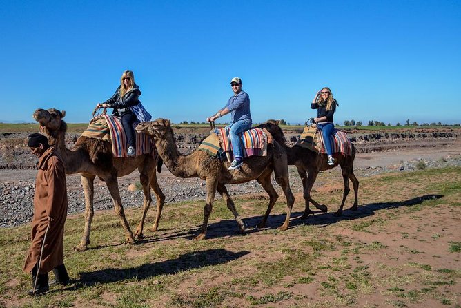 Marrakech Camel Ride at the Palm Groves - Personalized Hotel Pickup and Drop-off