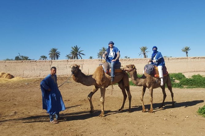 Marrakech Camel Ride at the Palm Groves - Berber Clothing and Mint Tea
