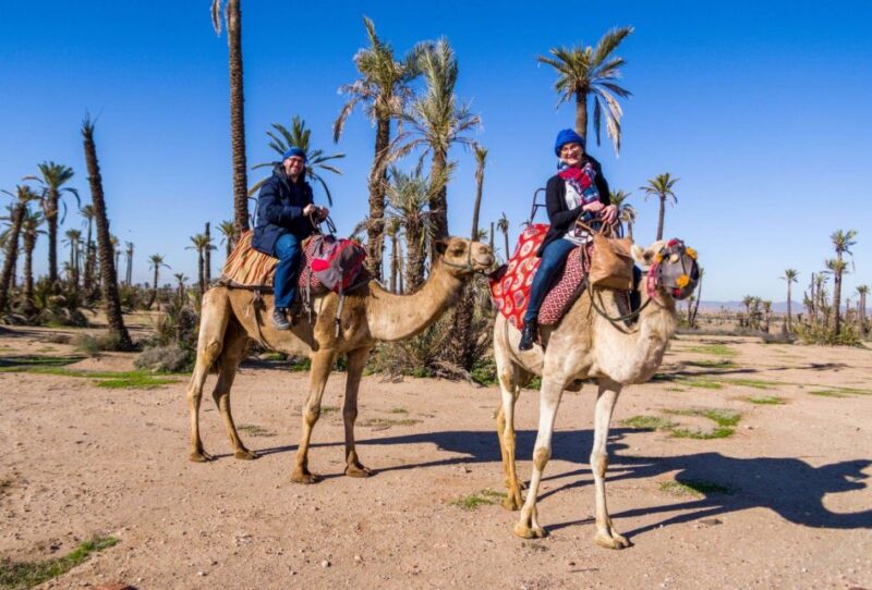 Marrakech : Camel Ride in Palmeraie With Tea Break - Itinerary and Experience