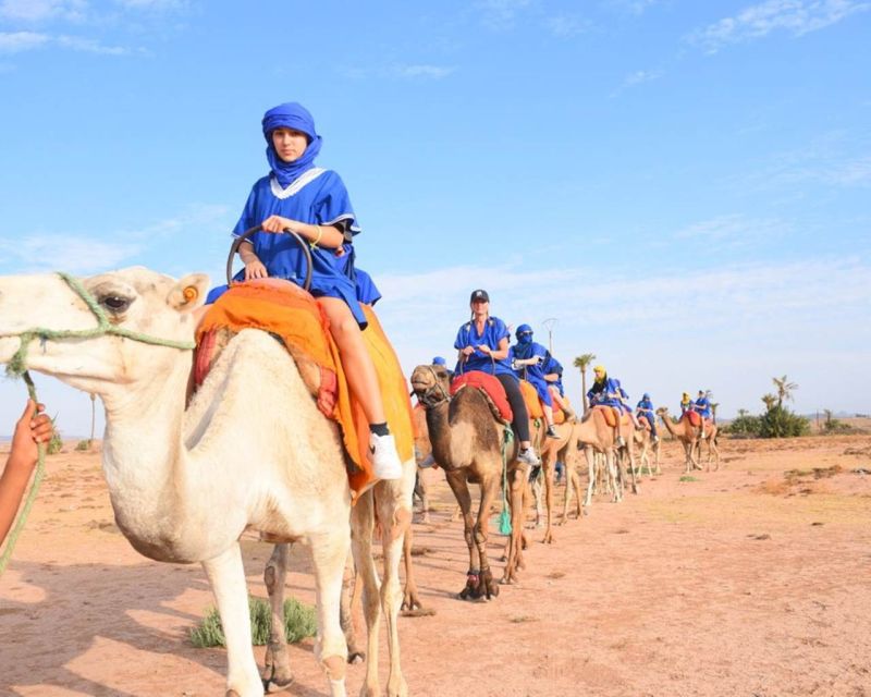 Marrakech : Camel Ride in Palmeraie With Tea Break - Inclusions and Amenities