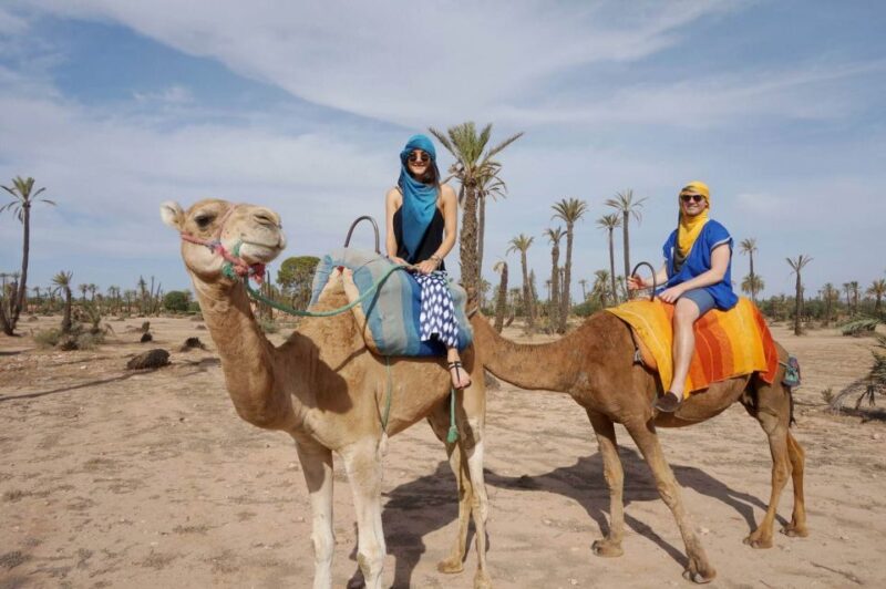 Marrakech : Camel Ride in Palmeraie With Tea Break - Language Options and Participants