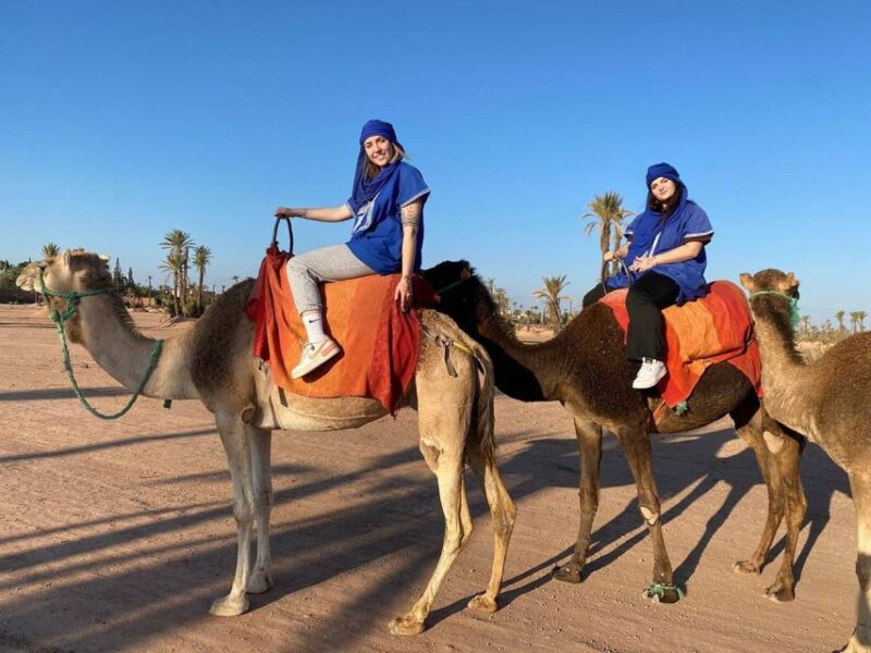 Marrakech : Camel Ride in Palmeraie With Tea Break - Customer Ratings and Reviews