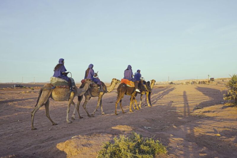 Marrakech Camel Ride in the Oasis Palmeraie and Desert - Key Points