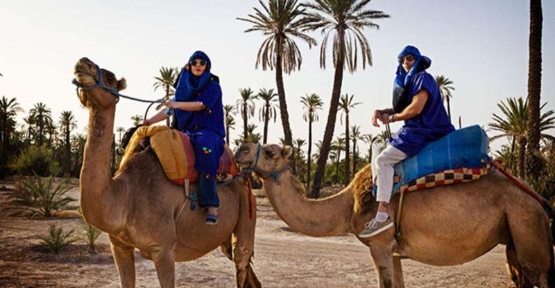 Marrakech Camel Ride in the Oasis Palmeraie and Desert - Inclusions