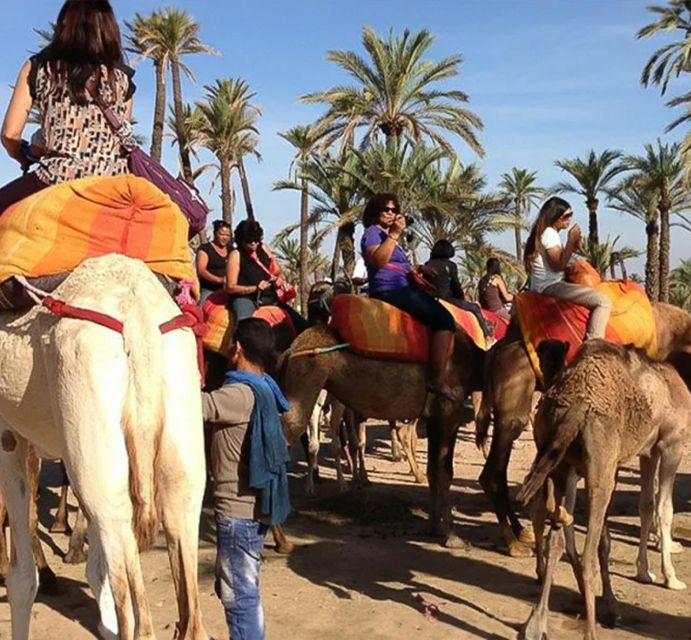 Marrakech Camel Ride in the Oasis Palmeraie and Desert - Booking Information