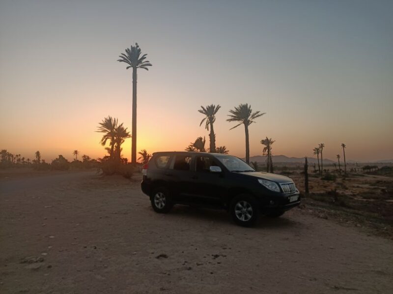 Marrakech Camel Ride in the Palm Grove - Key Points
