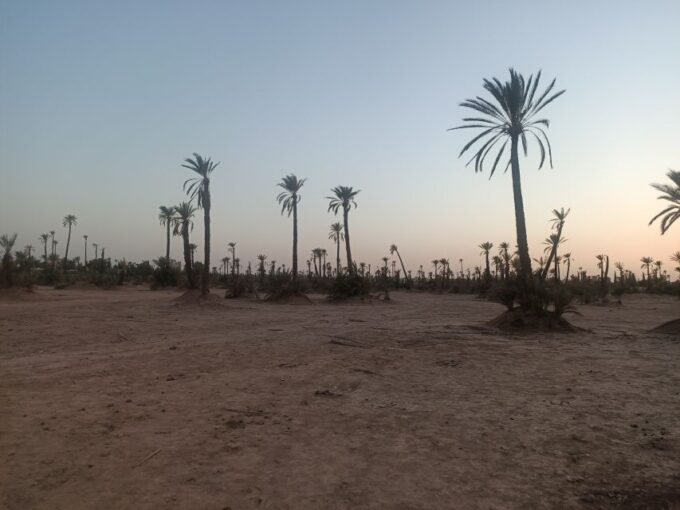 Marrakech Camel Ride in the Palm Grove - Camel Ride Duration