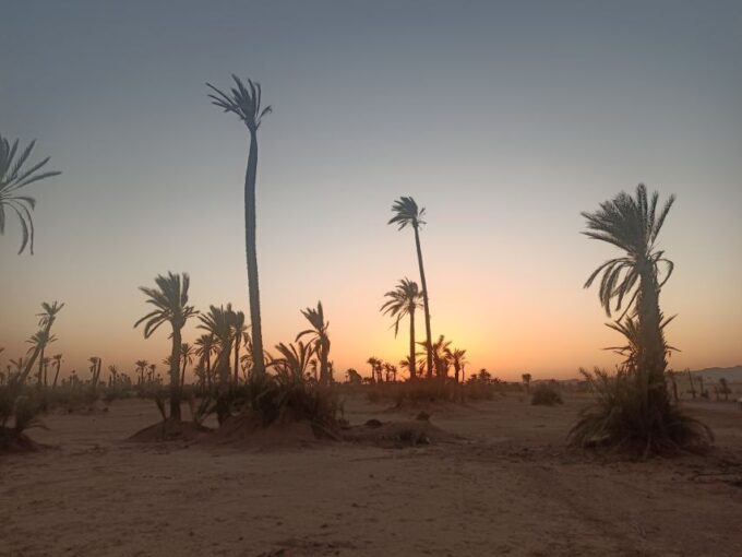 Marrakech Camel Ride in the Palm Grove - Frequently Asked Questions