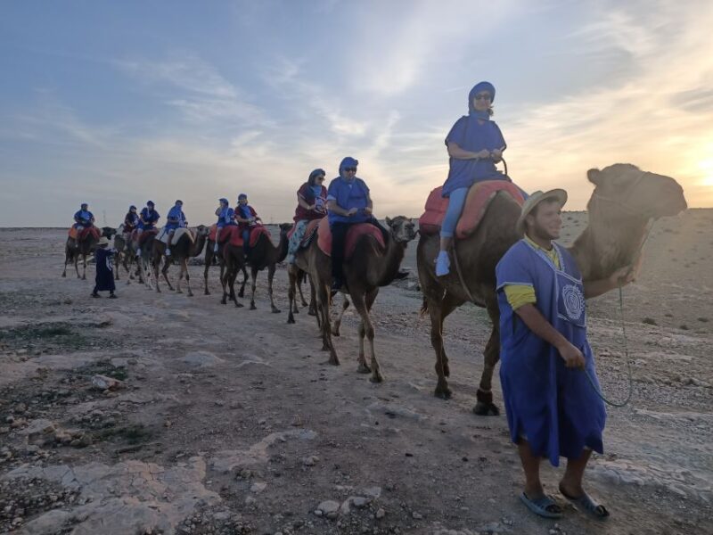 Marrakech: Camel Safari at Agafay Desert - Languages and Pickup