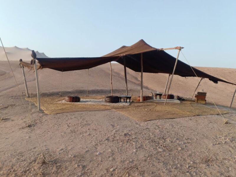 Marrakech: Camel Safari at Agafay Desert - Highlights of the Experience