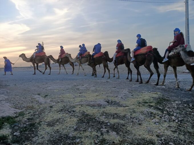 Marrakech: Camel Safari at Agafay Desert - Customer Reviews