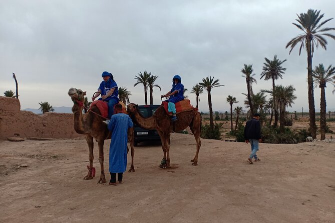 Marrakech Camel Safari at Agafay Desert - Inclusions and Accessibility