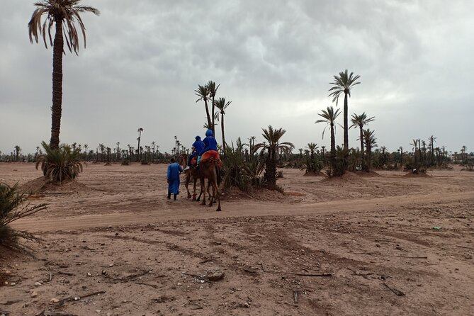 Marrakech Camel Safari at Agafay Desert - Restrictions and Medical Conditions