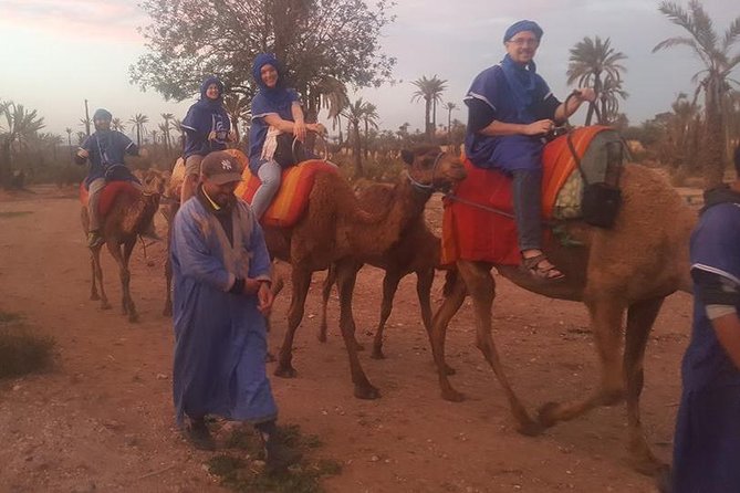 Marrakech Camel Safari at Agafay Desert - Additional Information
