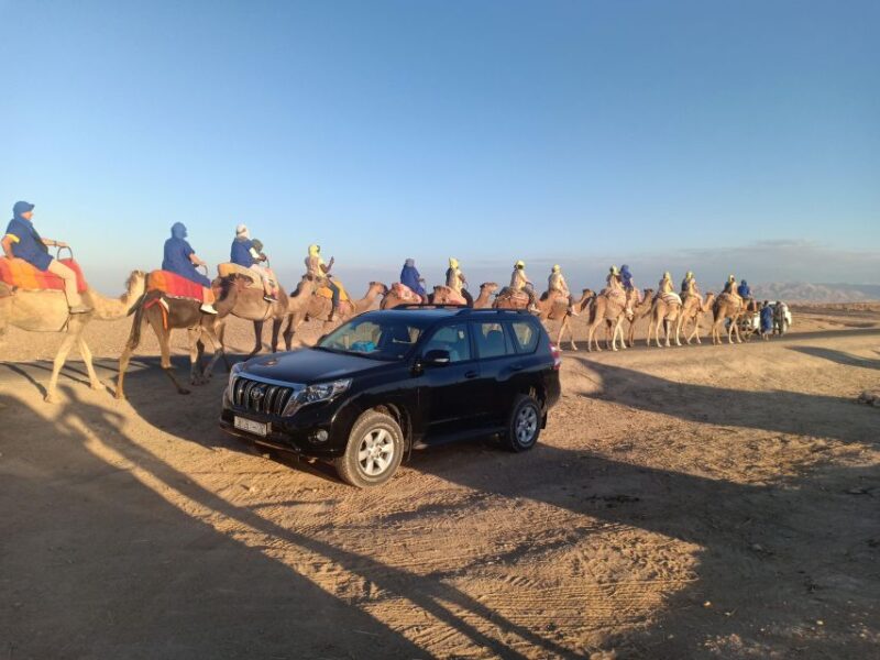Marrakech: Camel Safari at Agafay Desert With Lunch - Experience Highlights