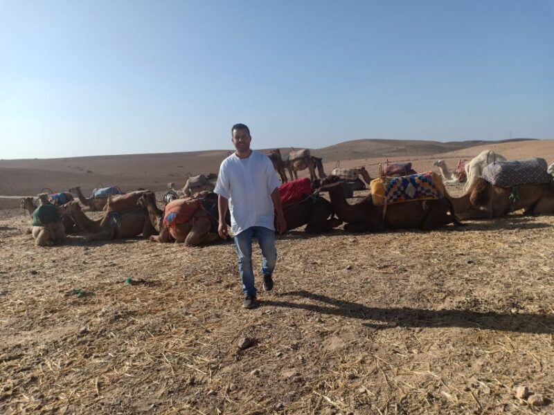 Marrakech: Camel Safari at Agafay Desert With Lunch - Important Information