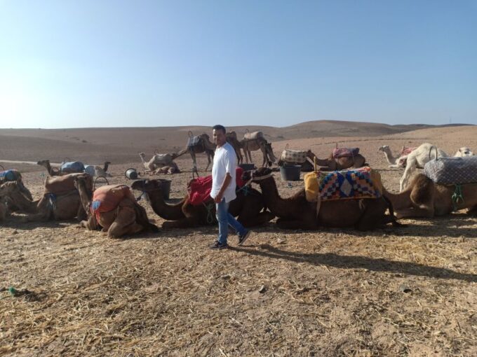 Marrakech: Camel Safari at Agafay Desert With Lunch - Language Support