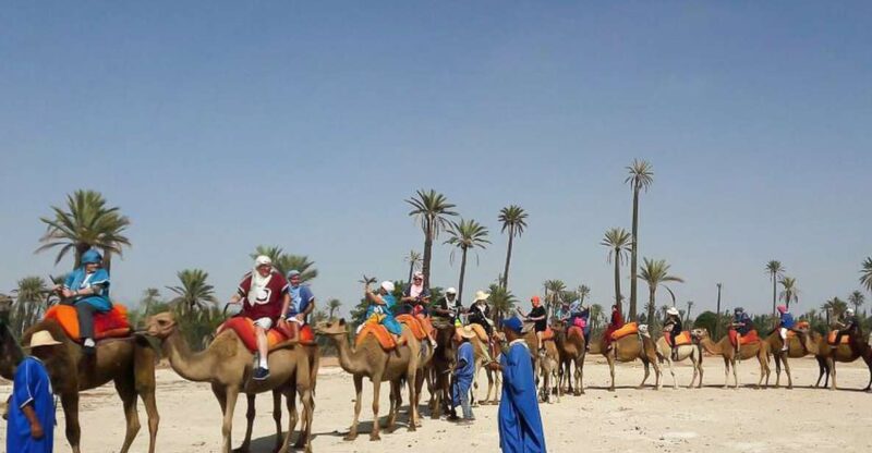 Marrakech: Camel Trek - Pricing Details