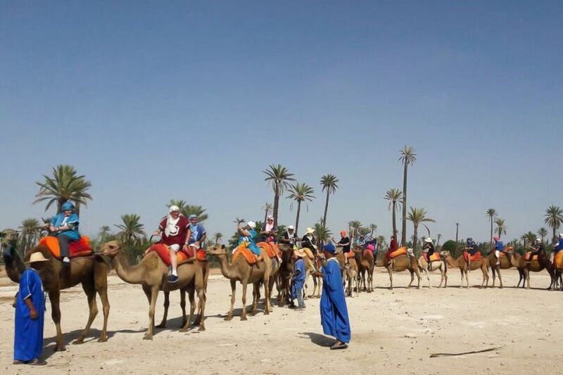 Marrakech: Camel Trek - Experience Highlights