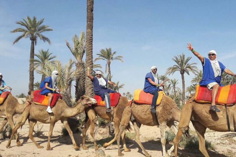 Marrakech: Camel Trek - Customer Feedback