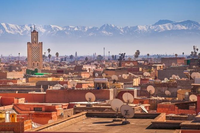 Marrakech City Highlights Half-Day Tour - Visiting Majorelle Garden