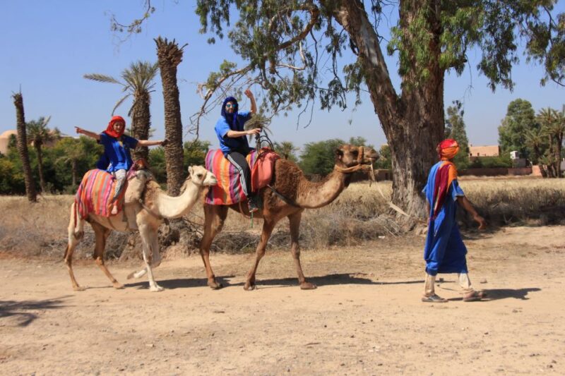 Marrakech: Combo Quad & Camel in the Jbilat Desert - Key Points