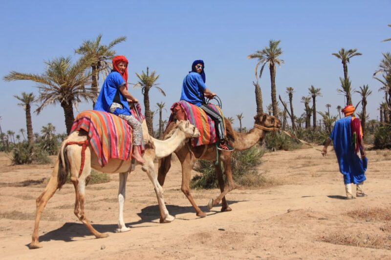 Marrakech: Combo Quad & Camel in the Jbilat Desert - Adventure Details