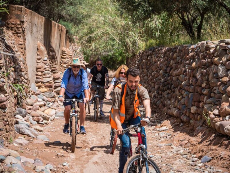 Marrakech: Cycling Tour in Palm Groove With Local Breakfast - Inclusions