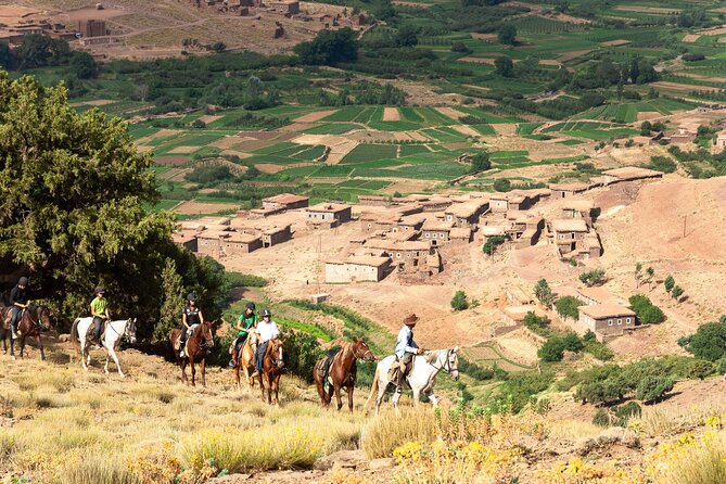 Marrakech: Day Pass in Agafy Desert , Lunch and Swiming Pool - Key Points
