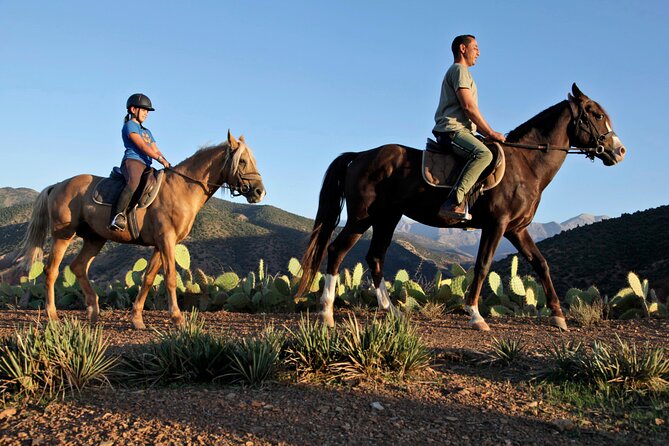 Marrakech: Day Pass in Agafy Desert , Lunch and Swiming Pool - Tour Schedule and Group Size