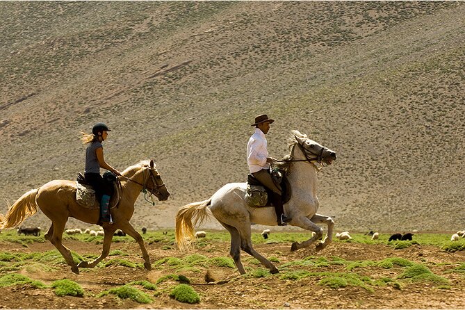 Marrakech: Day Pass in Agafy Desert , Lunch and Swiming Pool - Accessibility and Participation