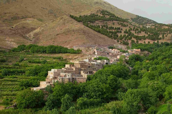 Marrakech: Day Pass in Agafy Desert , Lunch and Swiming Pool - Desert Adventure and Swimming Pool