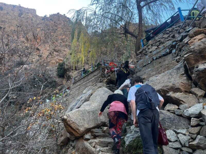 Marrakech Day Trip: Ourika Valley & Guided in Atlas Mountain - Key Points